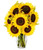 From You Flowers - Stunning Sunflowers With Free Vase (fresh Flowers)