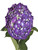 Elite Purple Hydrangea - Fresh Cut - 15 Stems