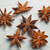 The Spice Lab Whole Star Anise - French Jar - All Natural Kosher Non Gmo Gluten Free - 5236