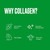 Bulletproof Collagen 18g Protein Powder, 8.5 Oz, Unflavored