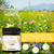 Turner Multifloral Manuka Honey New Zealand, Organic Uaf1000+, Anti-inflammatory And Natural Antioxidants, 1 Jar, 8.8oz/250g