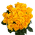 50 Stems Of Bright Yellow Roses- Beautiful Fresh Cut Flowers- Express Delivery