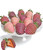 From You Flowers - Pink Swizzled Chocolate-covered Strawberries