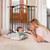 Summer Multi-use Decorative Extra Tall Walk-thru Gate (bronze)