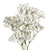 Gypsophila, Xlence 10 Bunches Of White Baby's Breath Farm Direct Fresh Cut Flowers By Bloomingmore