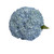 Hydrangeas Jumbo 12 Stems Of Blue Farm Direct Fresh Cut Flowers By Bloomingmore