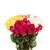 Assorted Colors - Roses - 50 Cm - Fresh Cut Flowers - 125 Stems - By Bloomingmore