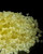Chios Mastiha (mastic) Gum Medium Tears 100% Natural , 10g / 0.35 Oz Bag