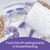 Lansinoh Nursie Breastfeeding Pillow For Babies From C-sections