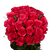 50 Stems Of Hot Paris Roses- Fresh Flower Delivery