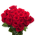 Globalrose 50 Red Rose