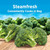 Birds Eye Steamfresh Broccoli Florets, Frozen, 10.8 Oz