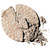Physicians Formula Powder Palette® Mineral Glow Pearls, Beige Pearl