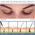 Kiplyki Wholesale Eyelash Serum Brow Serum Eyelash Serum For Fast Eyelash Growth Eyelash Serum For Natural Eyelash Extension 3ml