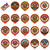 Crazy Cups, Flavored Coffee K-cups Variety Pack Sampler, 20 Ct