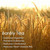 Damtuh Barley Tea - 1.5g X 50 Tea Bags