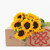 Sunflowers Hand-tied Bouquet- No Vase- Flower Delivery Service Bloomsybox