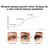 Rapidbrow Eyelash Growth Serum,eyebrow Growth Serum For Fuller,thicker Lashes & Brows