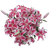 20 Stems Of Stargazer Oriental Lilies- Beautiful Fresh Cut Flowers- Express Delivery