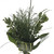The Special Greens Bouquet 5 Pack Of Farm Direct Fresh Cut Flower Bouquets Of Mixed Greenery By Bloomingmore