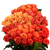 100 Orange Roses