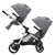Evenflo Pivot Xpand Stroller Second Seat, Percheron