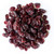 Bulk Dried Cranberries Sweetened 25 Pound Wholesale Box