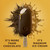 Magnum Double Caramel Vanilla Ice Cream Bars 9.12 Oz 3 Count