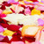 Rose Petals 3 Bags Of Assorted Color Farm Direct Fresh Cut Flower Petals By Bloomingmore