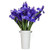 Stargazer Barn Starlight Bouquet Telstar Iris With Vase