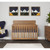 Evolur Stilnovo Mid Century 4-in-1 Convertible Crib, Sugarcane