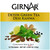 Girnar Detox Green Tea, 10 Sachet Pack