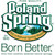 Poland Spring 100% Natural Spring Water (1.5 L Bottles, 12 Pk.)