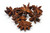Slofoodgroup Whole Star Anise (1 Ounce)