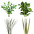 Assorted Variegated Flax, Variegated Lily Grass, Viburnium, Green Flax And Ruscus Combo Box - 40 Pack