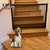 Elegant Choise Foldable Portable Baby Pet Dog Safety Gate Pet Safe Mesh Fence Guard Gate Install Anywhere 43.3" Wide X 28.3" Tall