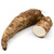 Congo Malanga White (blanca) (shipping Included)