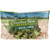 Cascadian Farm Organic Broccoli Floret, 10 Ounce -- 12 Per Case.