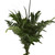 Grace Mixed Greens Bouquet 5 Pack Of Farm Direct Fresh Cut Flower Bouquets Of Mixed Greenery By Bloomingmore
