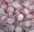 Washburns Starlight Peppermints - 5 Lbs