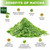 Pure Premium Gma Matcha Green Tea Powder 70g Ceremonial Grade Nature No Additives 0.15lb