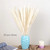 50 Pcs Natural Dried Small Pampas Grass, Reed Plume,phragmites Communis,wedding Flower Bunch, 18” Tall For Home Decor (white)