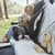 Evenflo Chase Plus 2-in-1 Booster Car Seat (geneva Pink)