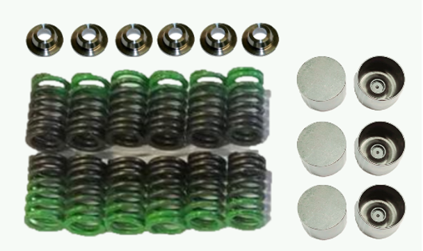 TD HD High RPM valve train kit ( Custom buckets + STG6 valve springs and retainers)