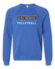 Volleyball Sponge Fleece Crewneck in 3 colors