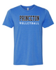 Unisex Princeton Volleyball tee in 3 colors