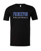 Unisex Princeton Volleyball tee in 3 colors