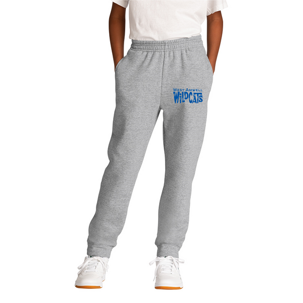 Port & Company ® Youth Core Fleece Jogger in grey Port & Company ® Youth Core Fleece Jogger in grey