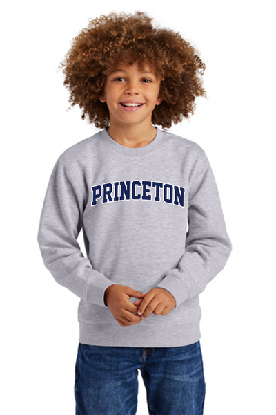 DT6104Y District® Princeton Youth V.I.T.™ Fleece Crew