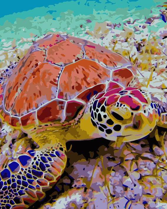 Painting by Numbers Kit - 40x50cm - The Majestic Turtle